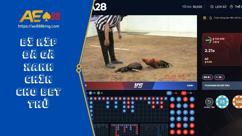 Bí kíp đá gà xanh chín cho bet thủ